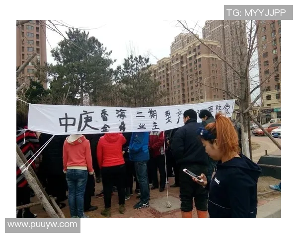 玩家维权之路为何艰难重重挑战与未来展望